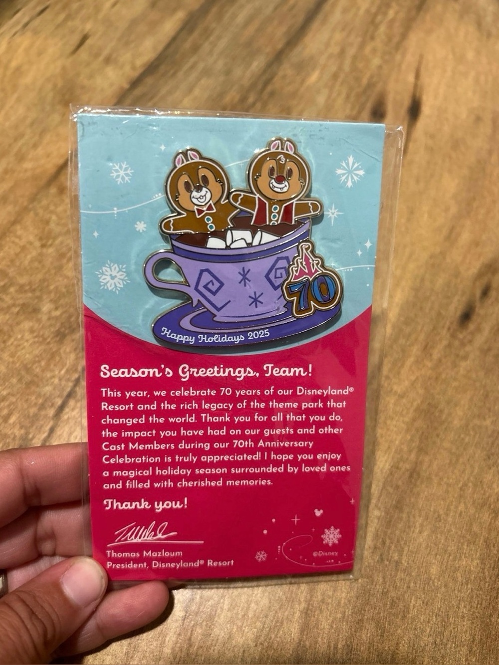 Cast member exclusive Disneyland trading pin chip and dale